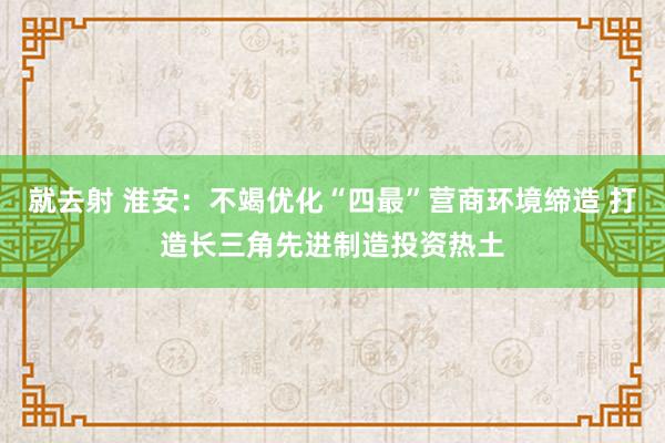 就去射 淮安：不竭优化“四最”营商环境缔造 打造长三角先进制造投资热土