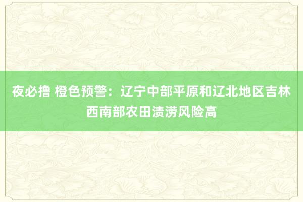 夜必撸 橙色预警：辽宁中部平原和辽北地区吉林西南部农田渍涝风险高