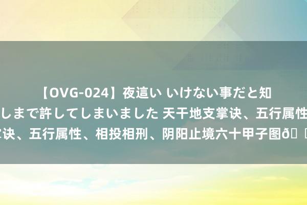 【OVG-024】夜這い いけない事だと知っていたけど生中出しまで許してしまいました 天干地支掌诀、五行属性、相投相刑、阴阳止境六十甲子图??