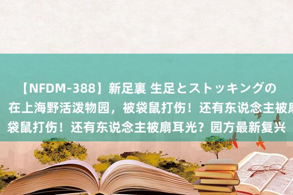 【NFDM-388】新足裏 生足とストッキングの足裏 Vol.3 搭客爆料：在上海野活泼物园，被袋鼠打伤！还有东说念主被扇耳光？园方最新复兴