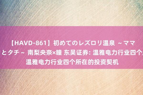 【HAVD-861】初めてのレズロリ温泉 ～ママには内緒のネコとタチ～ 南梨央奈×瞳 东吴证券: 温雅电力行业四个所在的投资契机