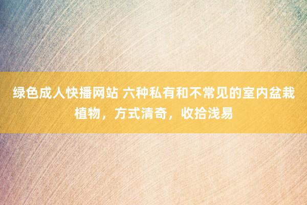 绿色成人快播网站 六种私有和不常见的室内盆栽植物，方式清奇，收拾浅易