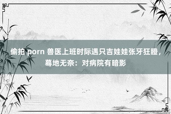 偷拍 porn 兽医上班时际遇只吉娃娃张牙狂瞪，蓦地无奈：对病院有暗影