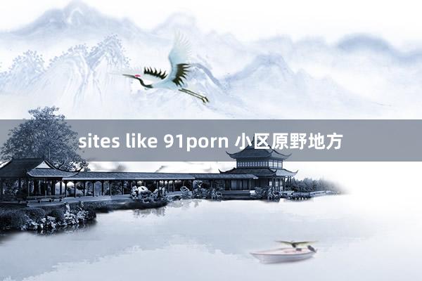 sites like 91porn 小区原野地方