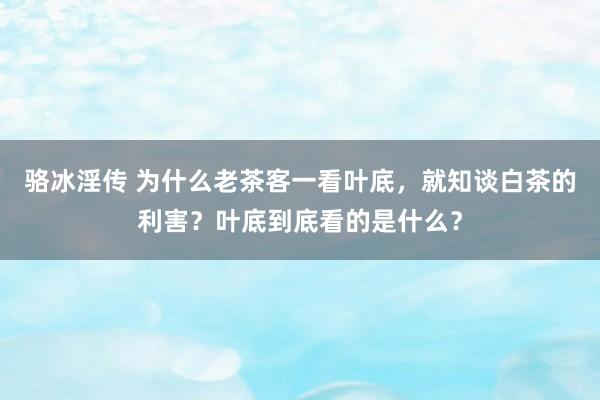 骆冰淫传 为什么老茶客一看叶底，就知谈白茶的利害？叶底到底看的是什么？