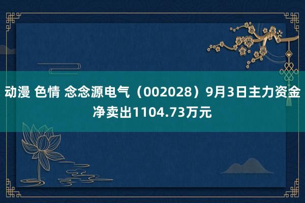 动漫 色情 念念源电气（002028）9月3日主力资金净卖出1104.73万元