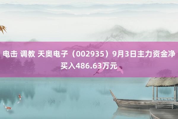 电击 调教 天奥电子（002935）9月3日主力资金净买入486.63万元