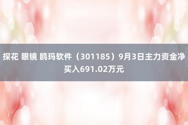 探花 眼镜 鸥玛软件（301185）9月3日主力资金净买入691.02万元