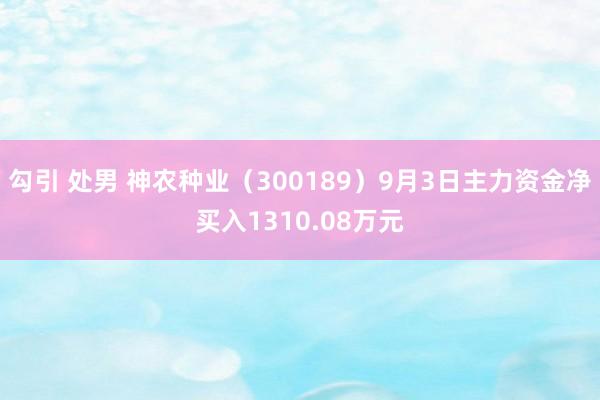 勾引 处男 神农种业（300189）9月3日主力资金净买入1310.08万元