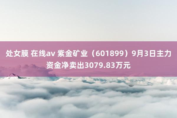 处女膜 在线av 紫金矿业（601899）9月3日主力资金净卖出3079.83万元