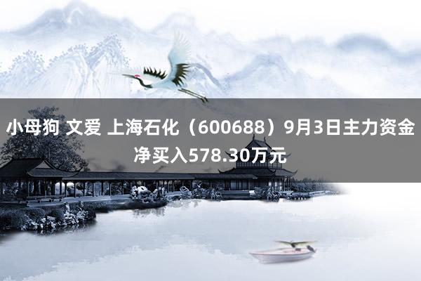 小母狗 文爱 上海石化（600688）9月3日主力资金净买入578.30万元