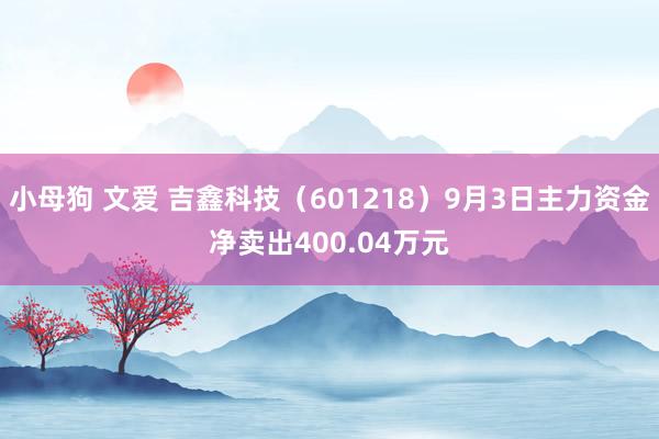 小母狗 文爱 吉鑫科技（601218）9月3日主力资金净卖出400.04万元