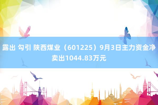 露出 勾引 陕西煤业（601225）9月3日主力资金净卖出1044.83万元