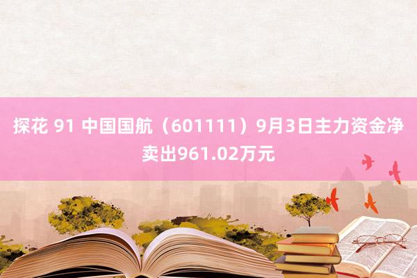 探花 91 中国国航（601111）9月3日主力资金净卖出961.02万元