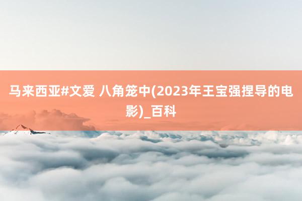 马来西亚#文爱 八角笼中(2023年王宝强捏导的电影)_百科