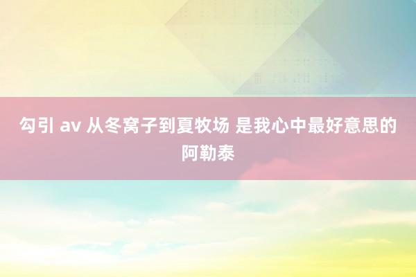 勾引 av 从冬窝子到夏牧场 是我心中最好意思的阿勒泰