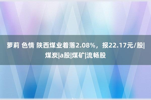 萝莉 色情 陕西煤业着落2.08%，报22.17元/股|煤炭|a股|煤矿|流畅股