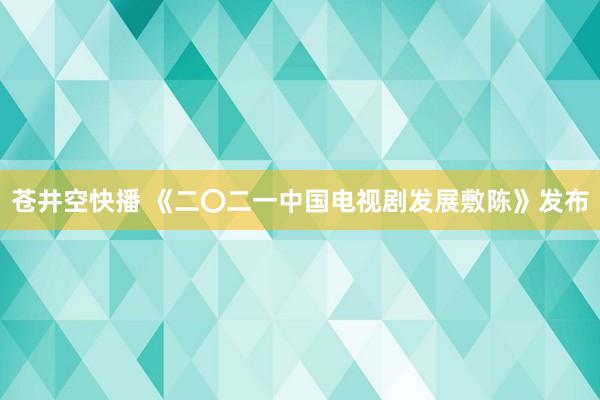 苍井空快播 《二〇二一中国电视剧发展敷陈》发布