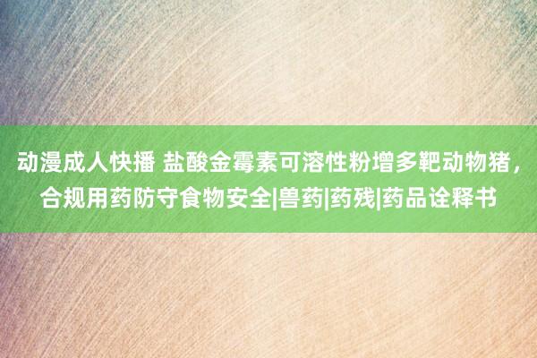 动漫成人快播 盐酸金霉素可溶性粉增多靶动物猪，合规用药防守食物安全|兽药|药残|药品诠释书