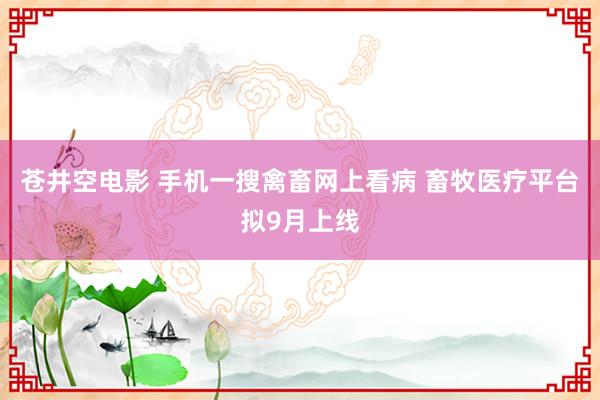 苍井空电影 手机一搜禽畜网上看病 畜牧医疗平台拟9月上线