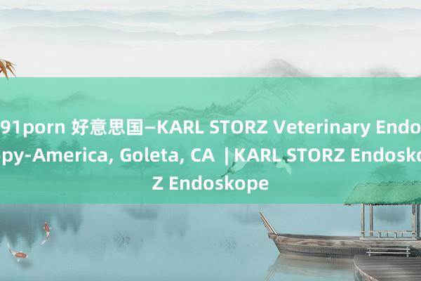 91porn 好意思国—KARL STORZ Veterinary Endoscopy-America, Goleta, CA  | KARL STORZ Endoskope