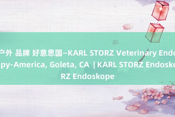 户外 品牌 好意思国—KARL STORZ Veterinary Endoscopy-America, Goleta, CA  | KARL STORZ Endoskope