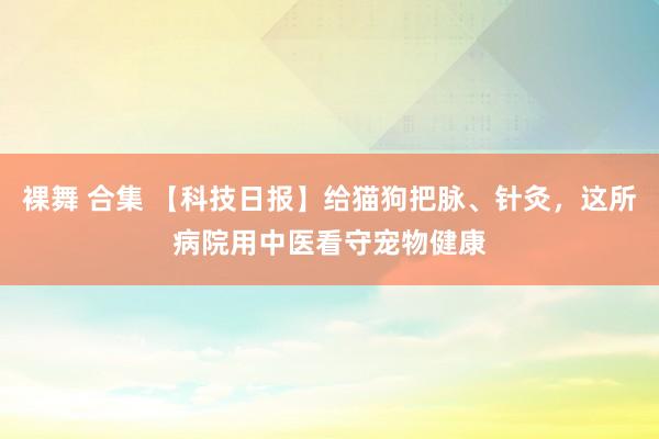 裸舞 合集 【科技日报】给猫狗把脉、针灸，这所病院用中医看守宠物健康